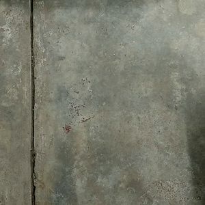 Meet your Posher, Blake